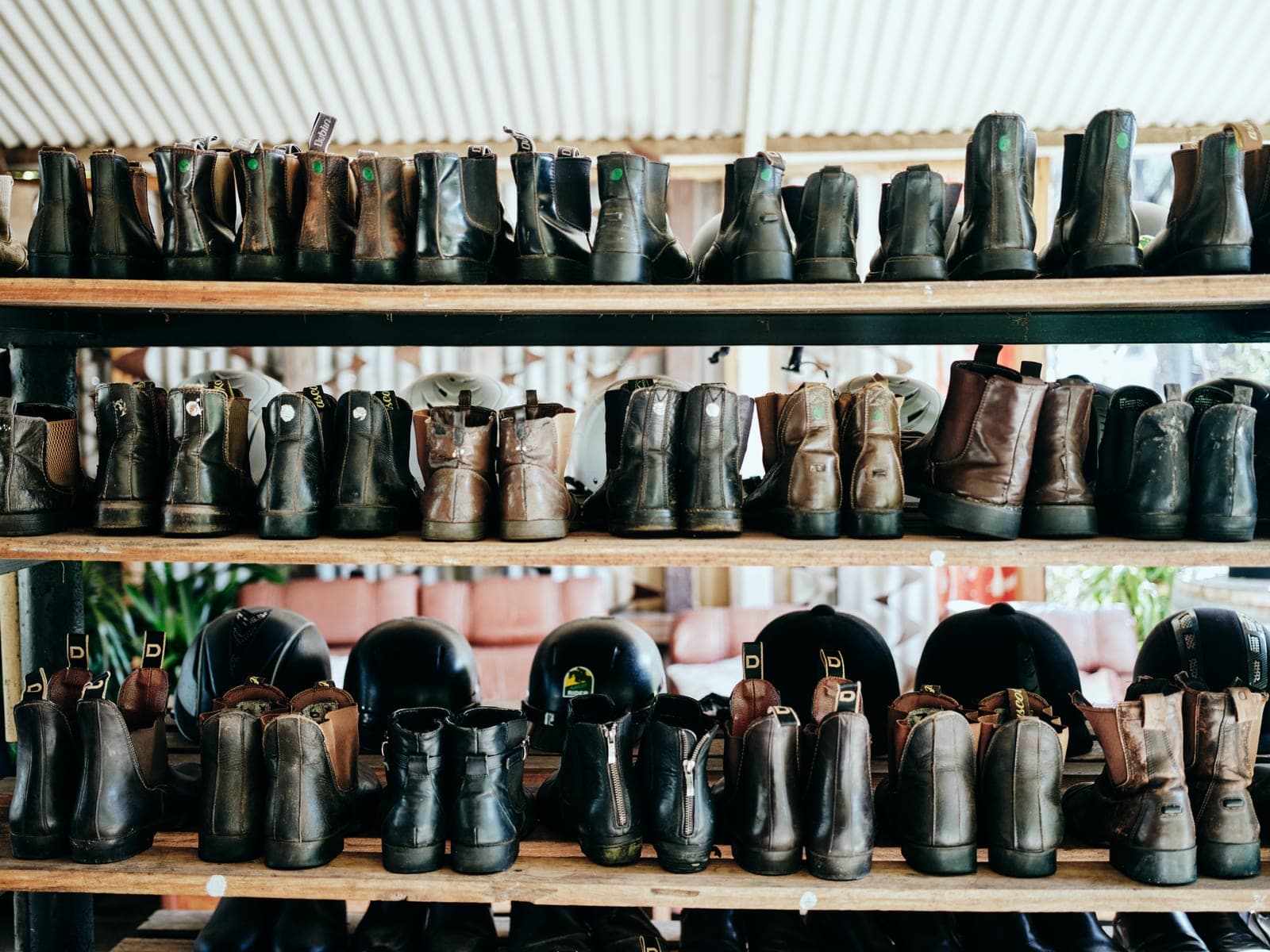 Rows of well-worn riding boots and helmets on the timber shelves in the Jesters Flat tack shed
