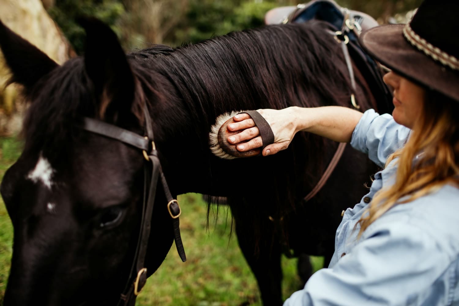 Connecting with a horse on the ground, Jesters Flat