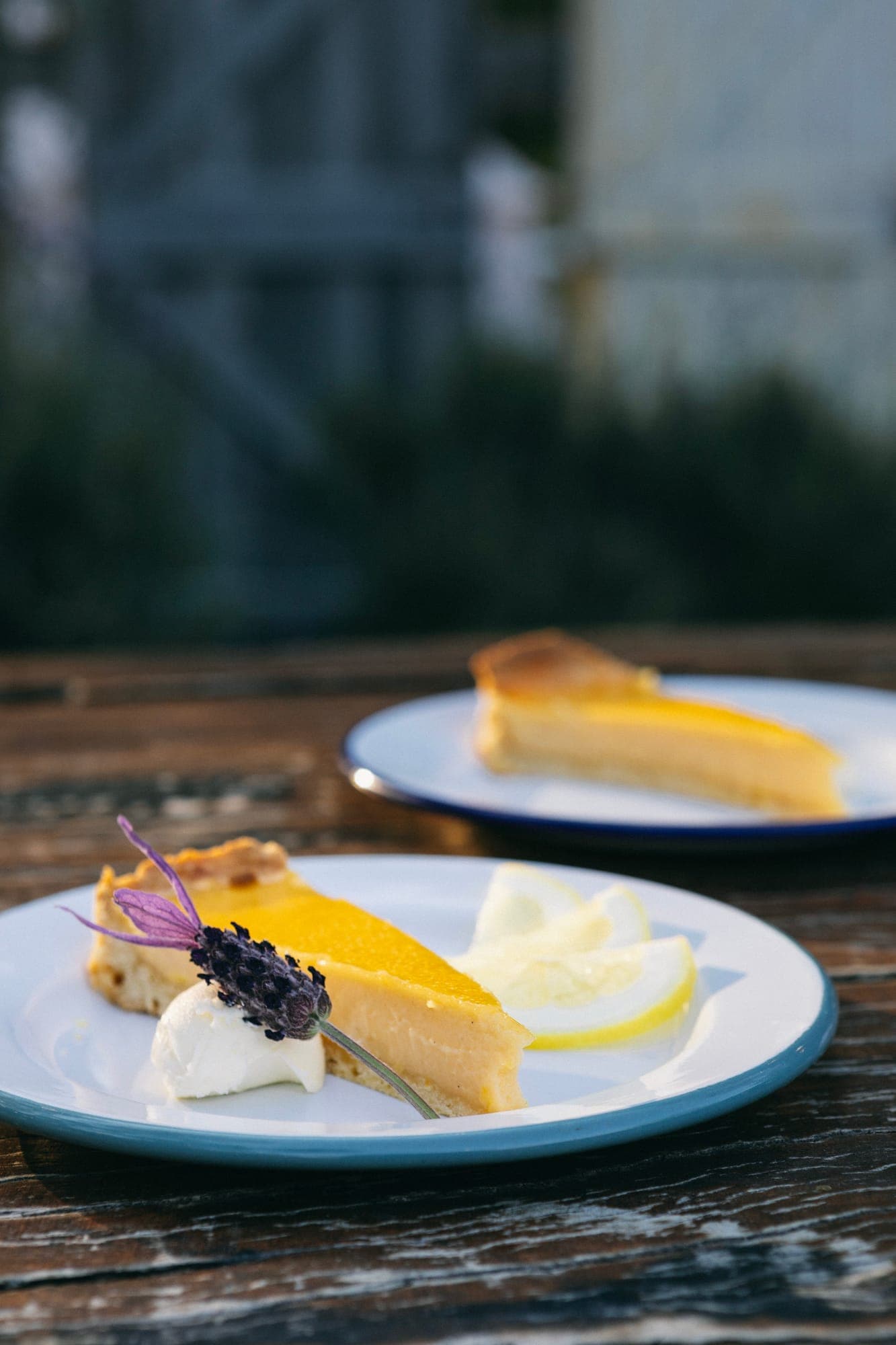 Lemon tart at the cellar door, Jesters Flat