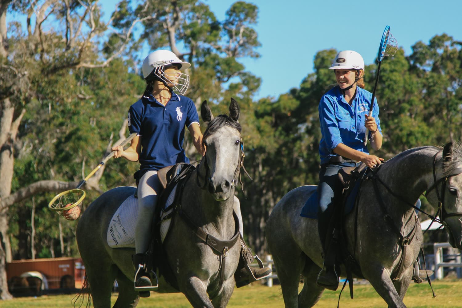 Polocrosse in play on Australian Stock Horses, Jesters Flat