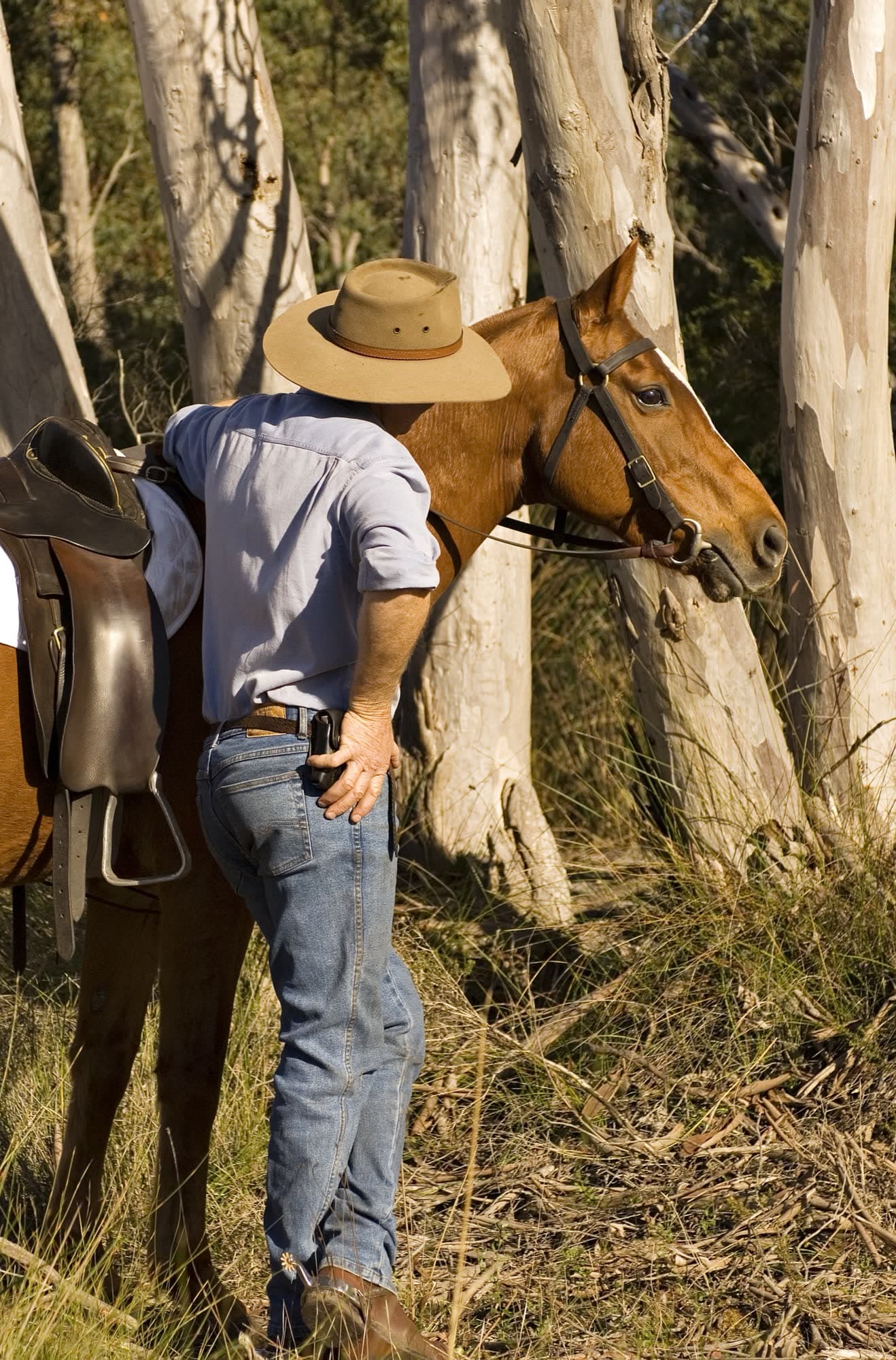 A stockman with his Australian Stock Horse in the gum trees at Jesters Flat