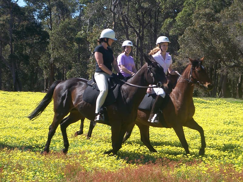 Country Lane Tour