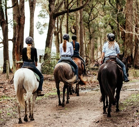 Colonial Brewery Ride