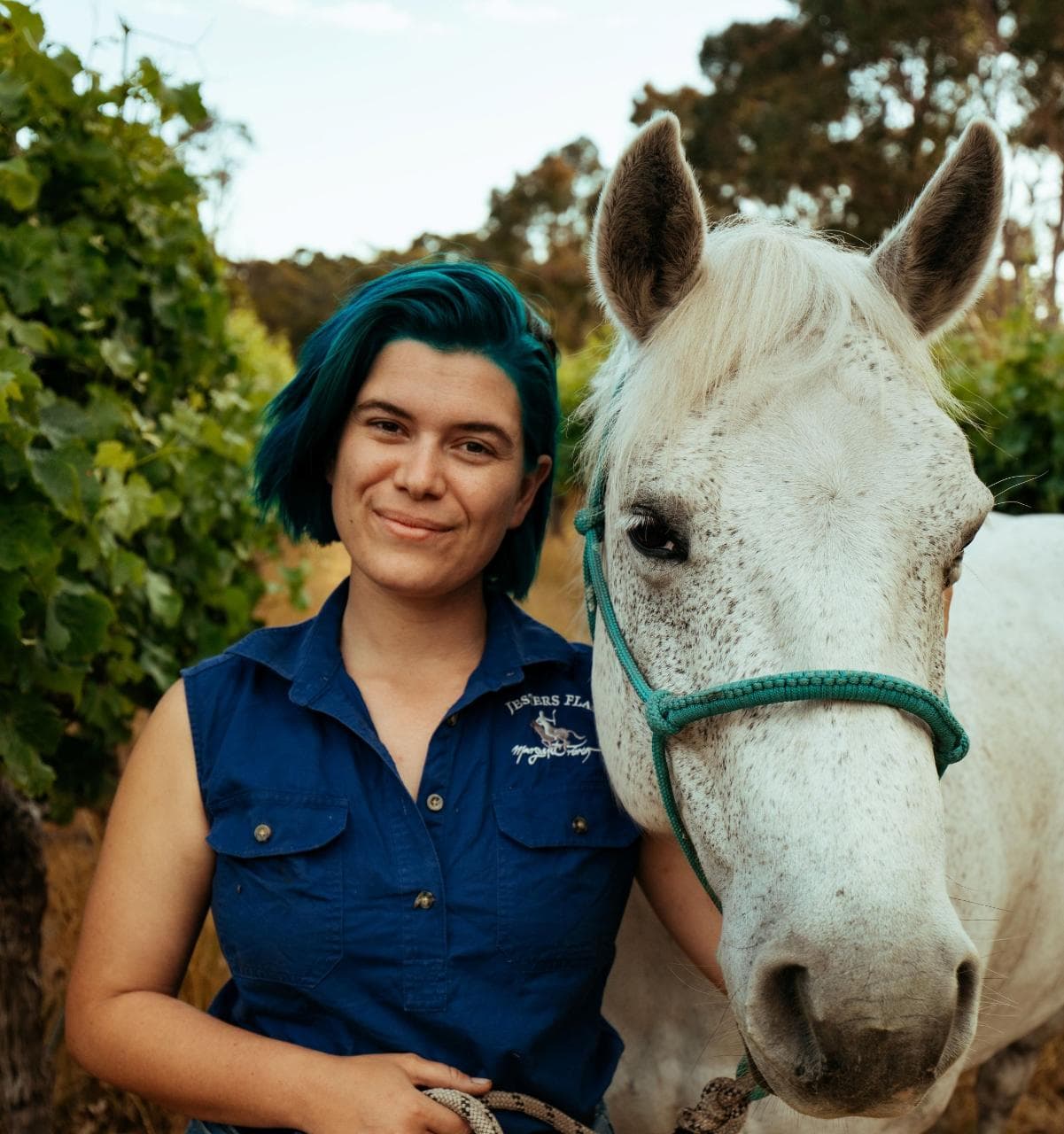 Horse Connect