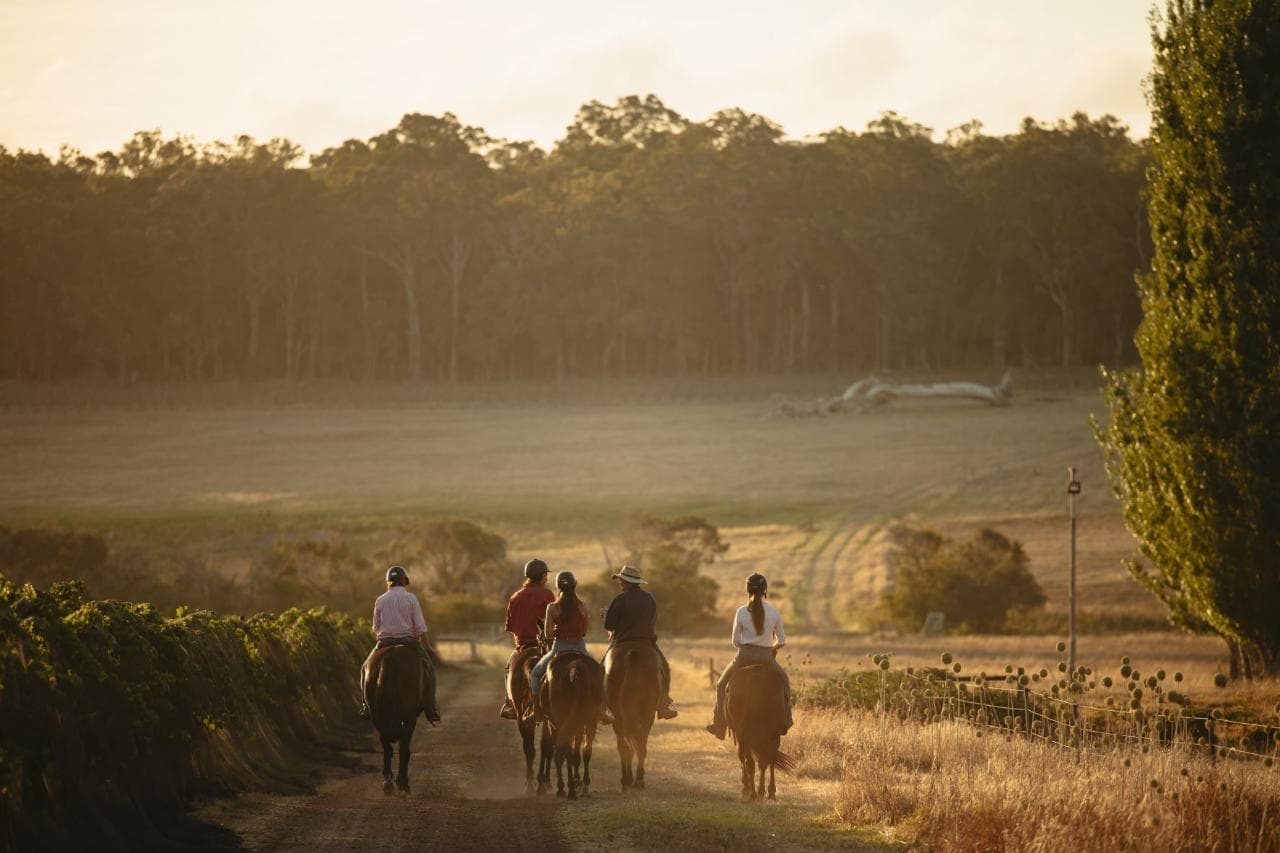 Country Lane Tour