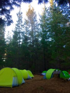 Margaret River Forest Camp