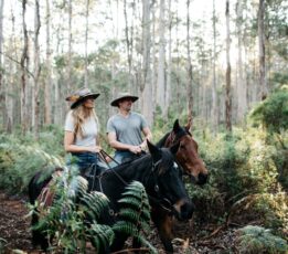 Boranup Riding